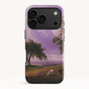 iPhone 17 Pro / Tough Case