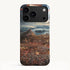 The Battle of Alexander at Issus