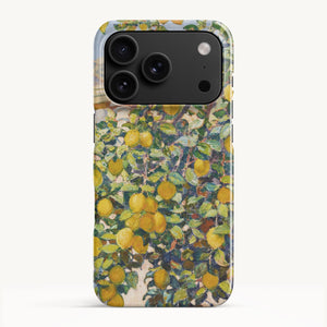 iPhone 17 Pro / Slim Case
