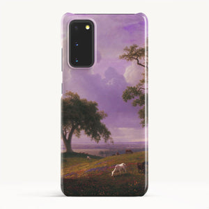 Galaxy S20 FE / Slim Case