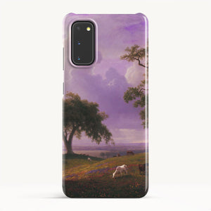 Galaxy S20 / Slim Case