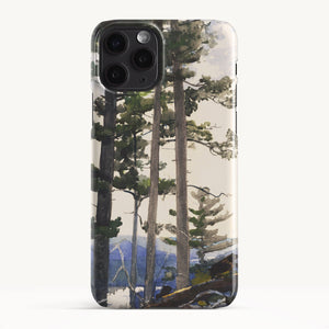 iPhone 11 Pro / Slim Case